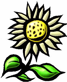 Farbiges Piktogramm Gänseblümchen